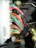 DSCN6825.JPG