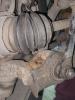 IMG-20251002-WA0003.jpg