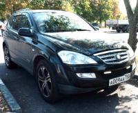 Фотография Forest